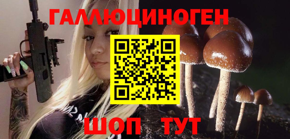 Псилоцибиновые грибы Psilocybe Октябрьский